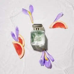 Antonio Banderas Queen Of Seduction Eau De Toilette For Her -OPI Store antonio banderas queen of seduction eau de toilette for her p29102 60977 image