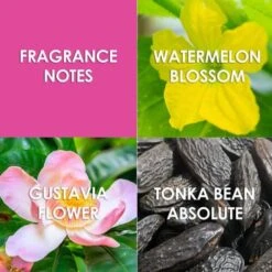 Britney Spears Britney Jungle Fantasy Eau De Toilette For Her 15 Britney Spears Britney Jungle Fantasy Eau De Toilette For Her -OPI Store britney spears britney jungle fantasy eau de toilette for her p29284 63380 image