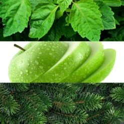 Lacoste Red Eau De Toilette For Him -OPI Store lacoste red eau de toilette for him p29048 60541 image